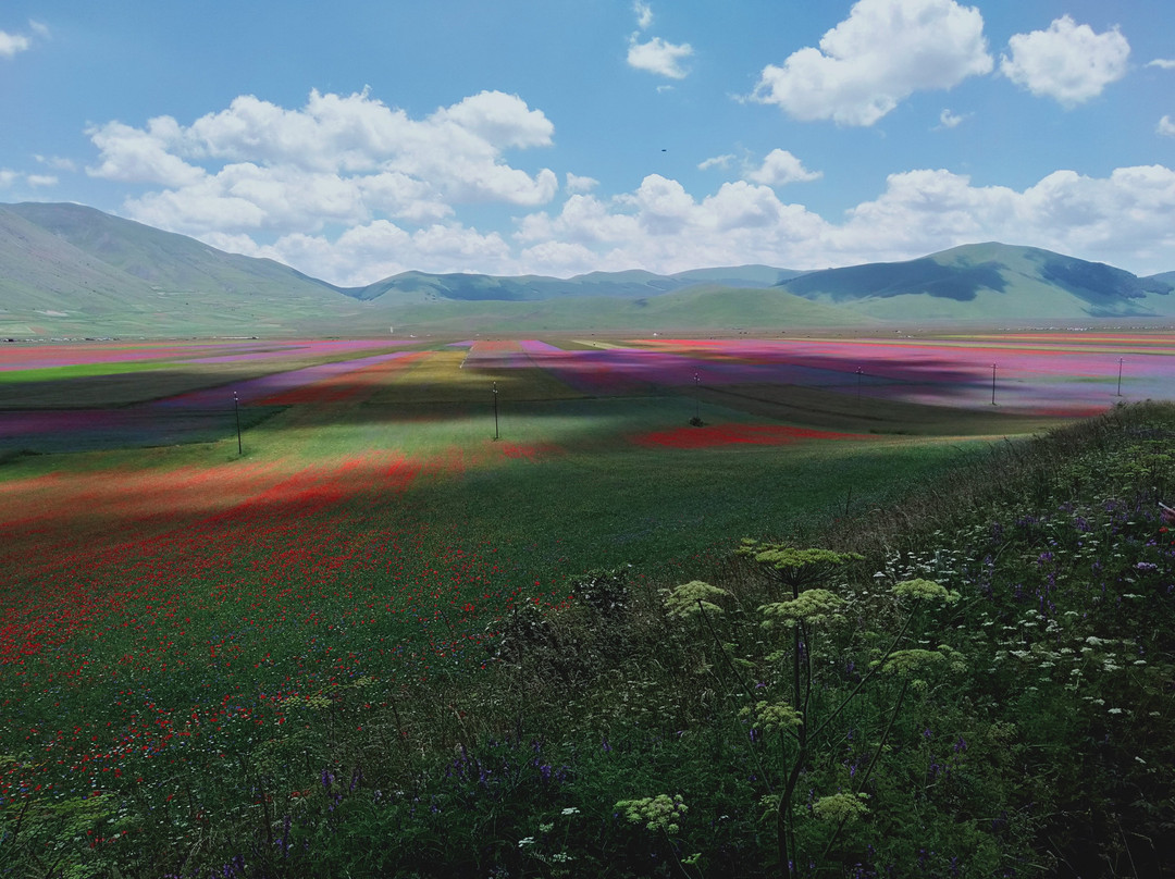 Borgo Medievale Castelluccio di Norcia景点图片