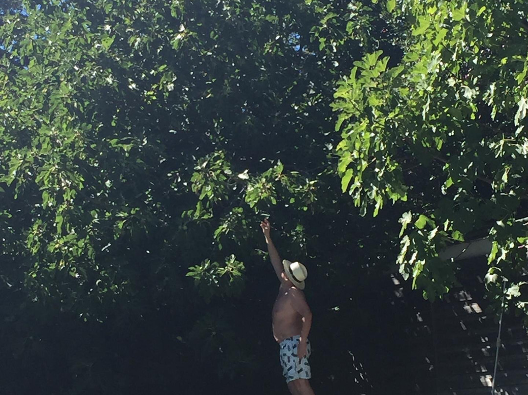 Au Vin Chambré主图