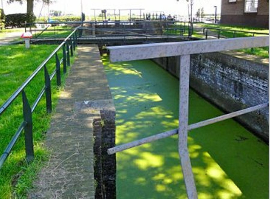 Gemaal Eemnes-Eemnes必去景点