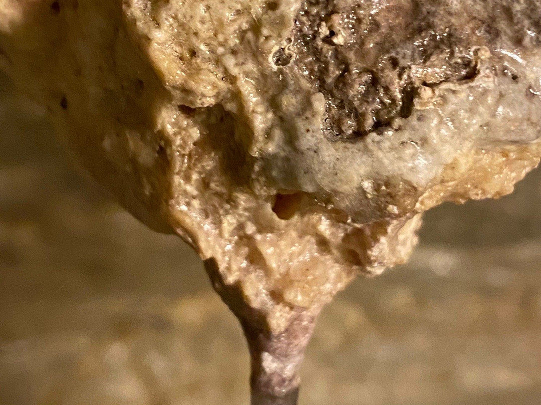 Parthenon旅游攻略图片