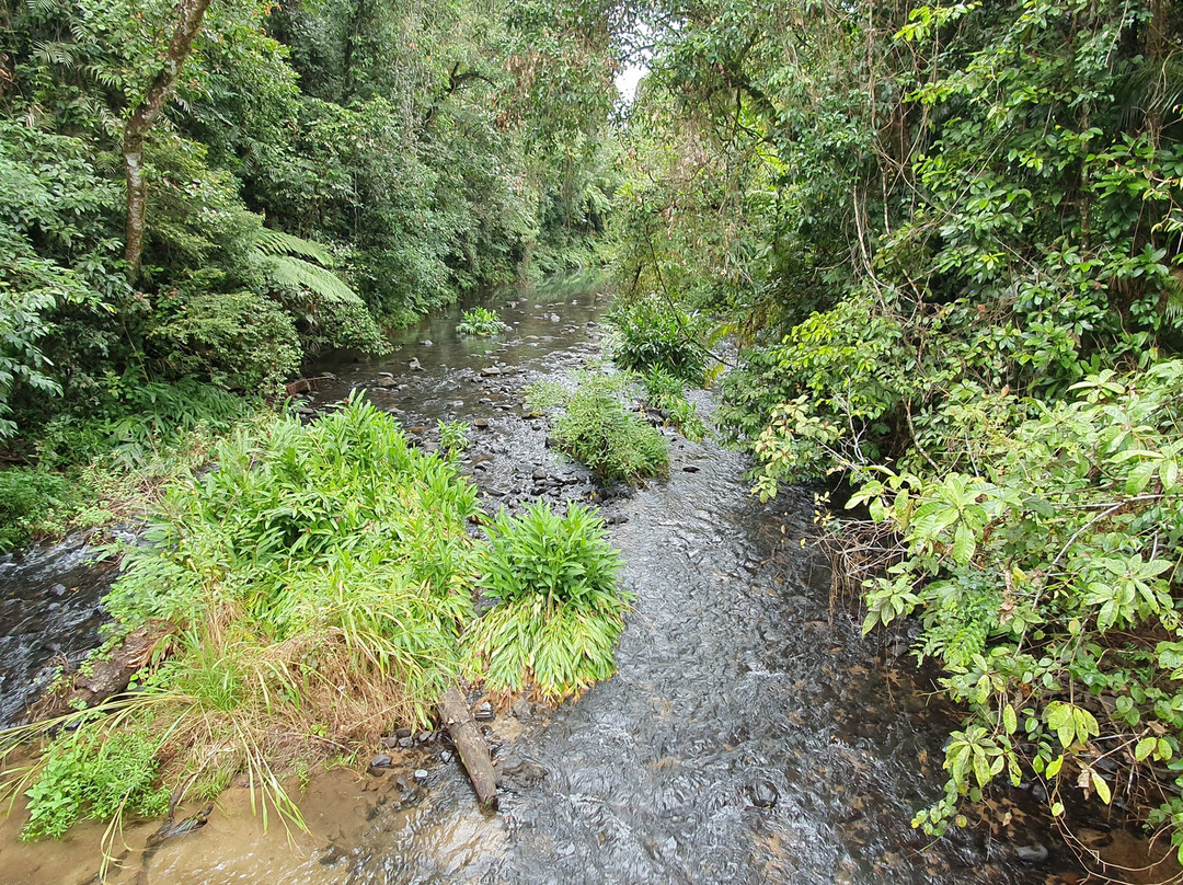 Henrietta Camp Ground-Herberton必去景点
