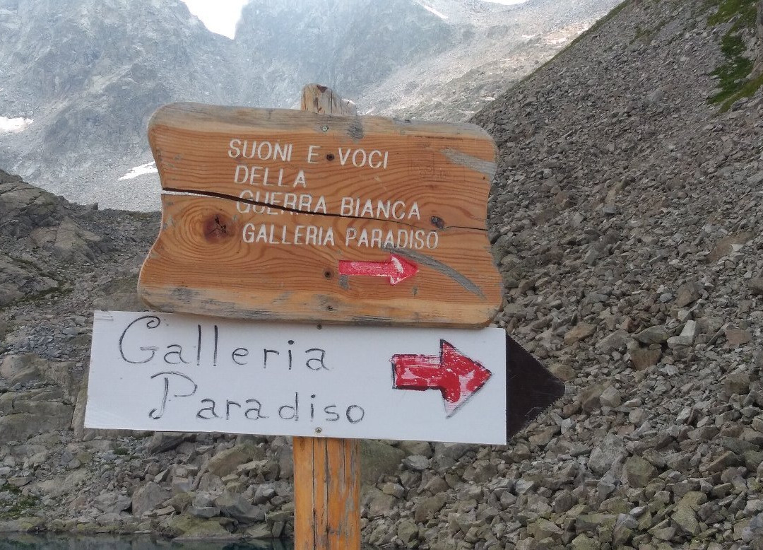 Galleria Paradiso景点图片