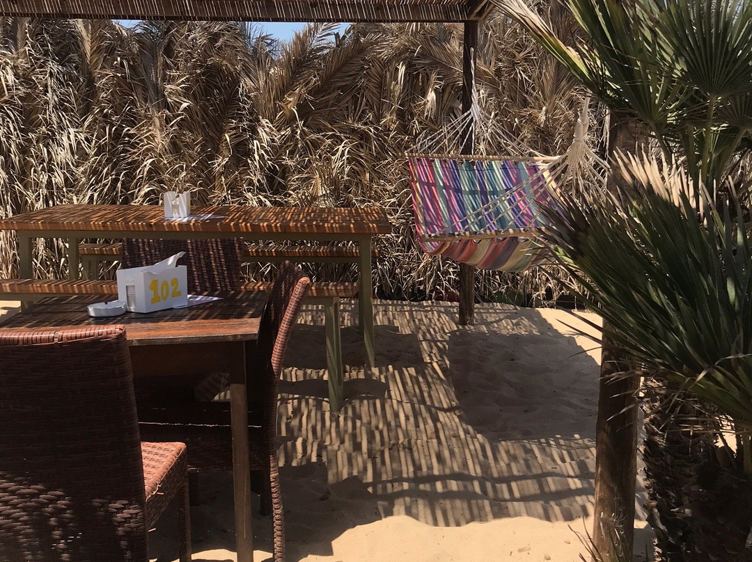 Lido Dune Beach景点图片