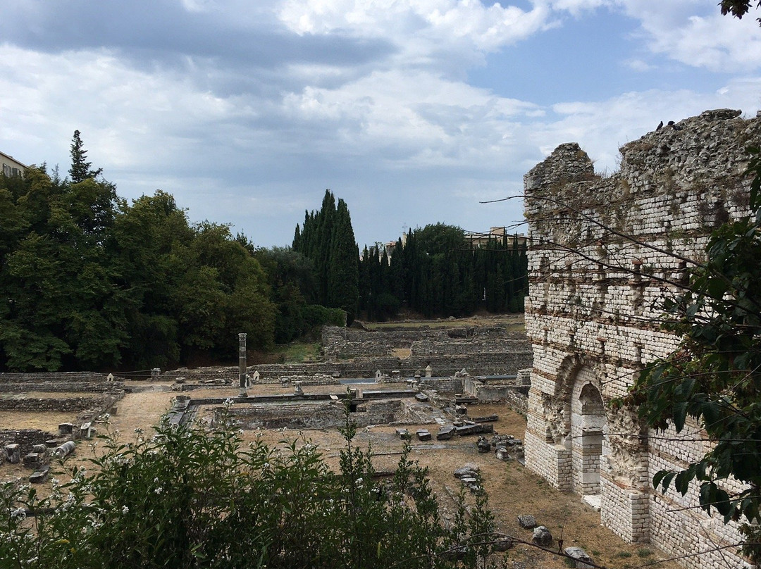 Parc des Arènes de Cimiez-尼斯必去景点