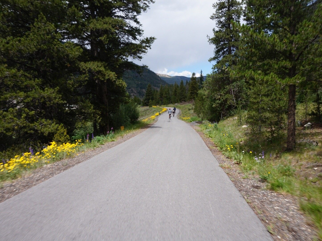 Rebel Sports-弗里斯科必去景点