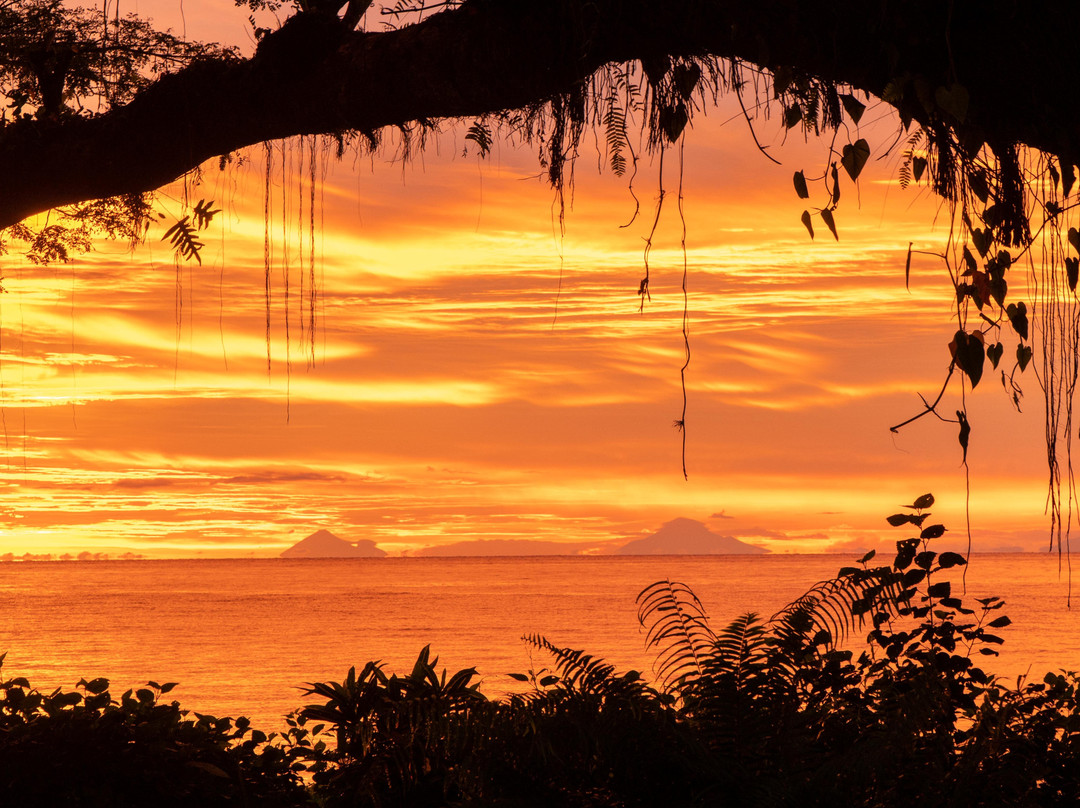 Walindi Plantation Resort主图