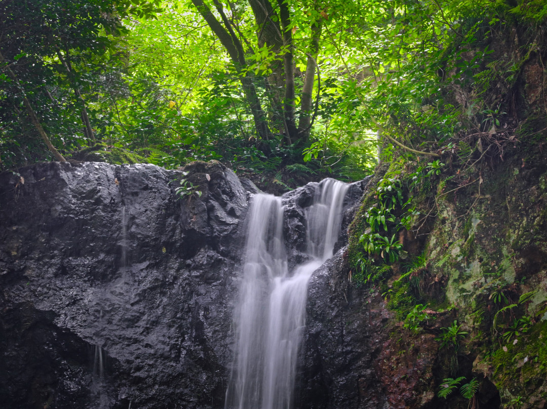 Shiratama Falls-新泻市必去景点