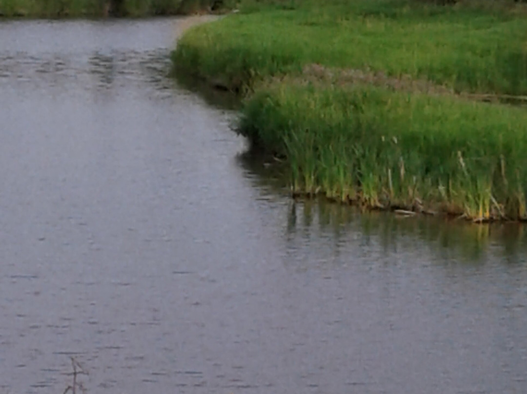 Orchard View Bed And Breakfast主图