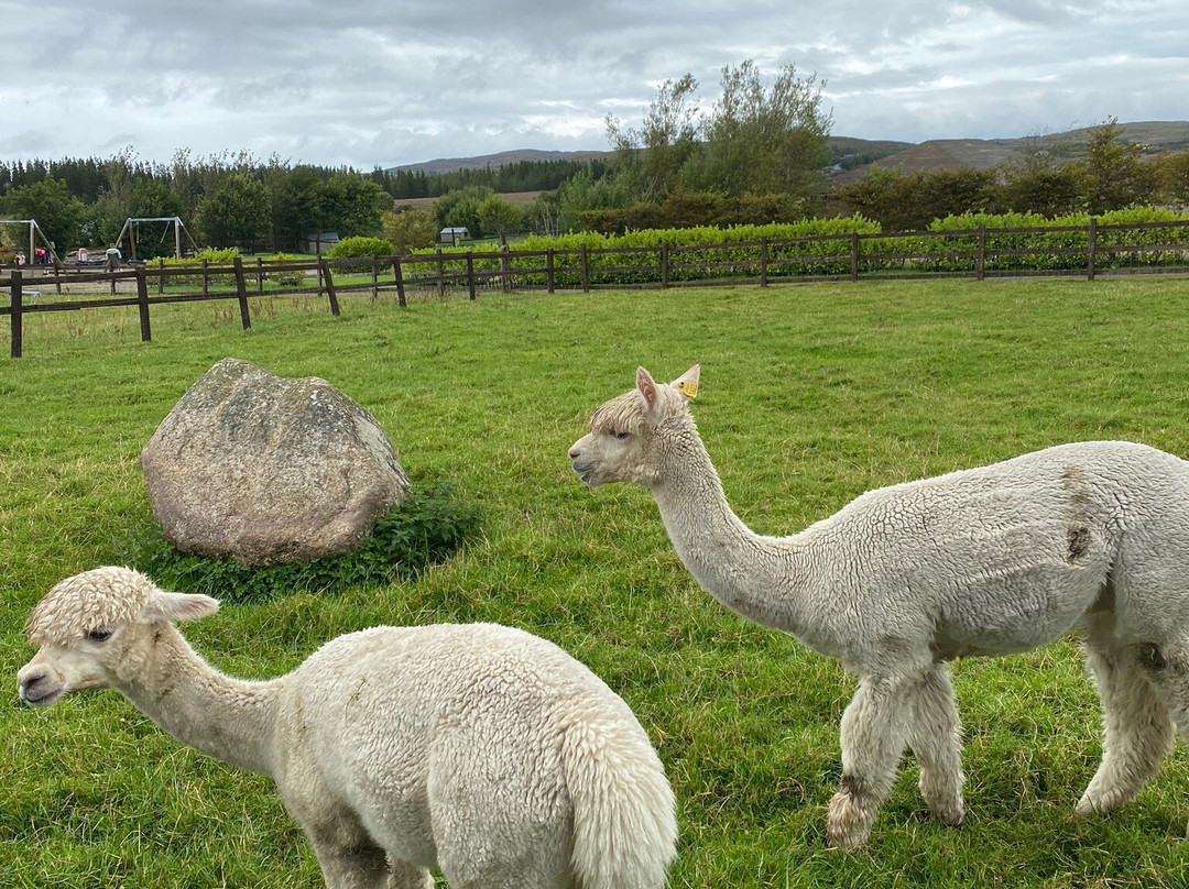 Loughwell Farm Park-Moycullen必去景点