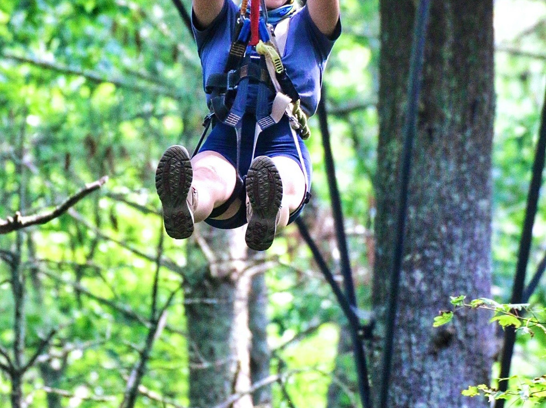 Zipline Canopy Tours of Blue Ridge景点图片