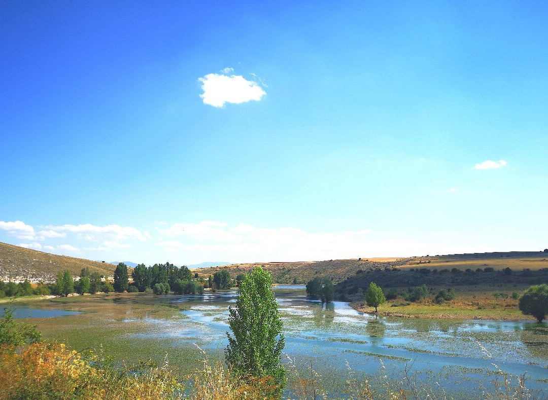 Hoces Del Rio Riaza Natural Reserve景点图片