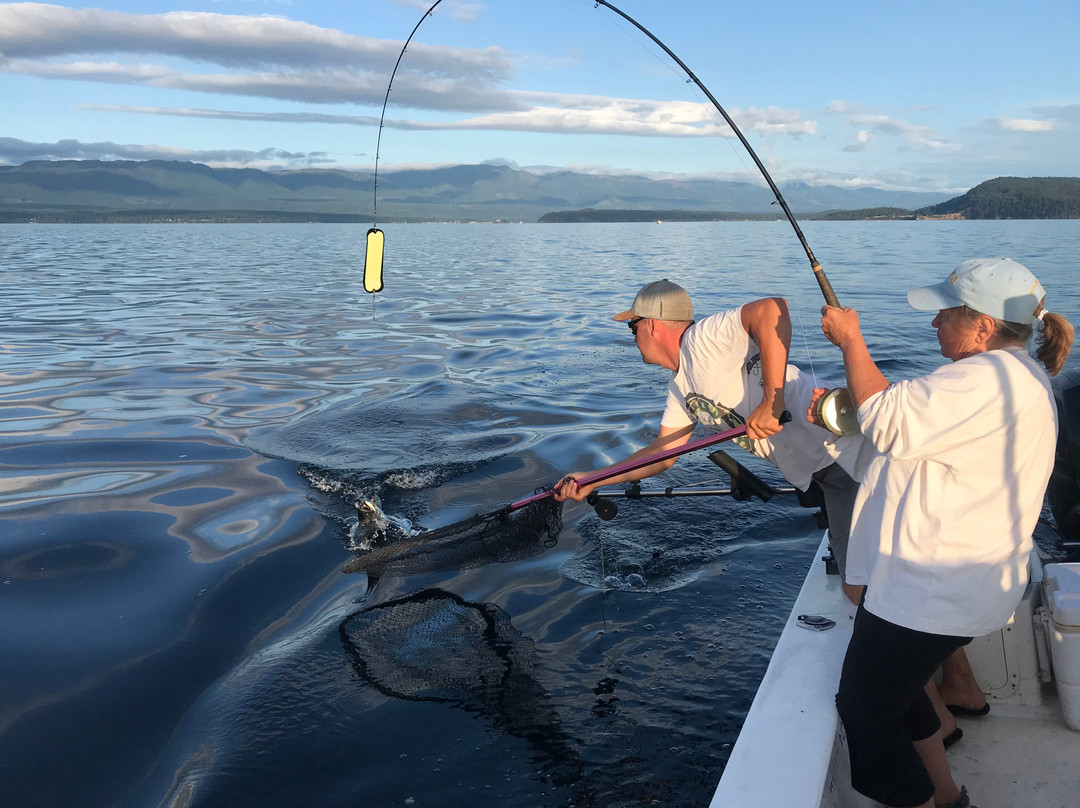 Hornby Island Ocean Adventures景点图片