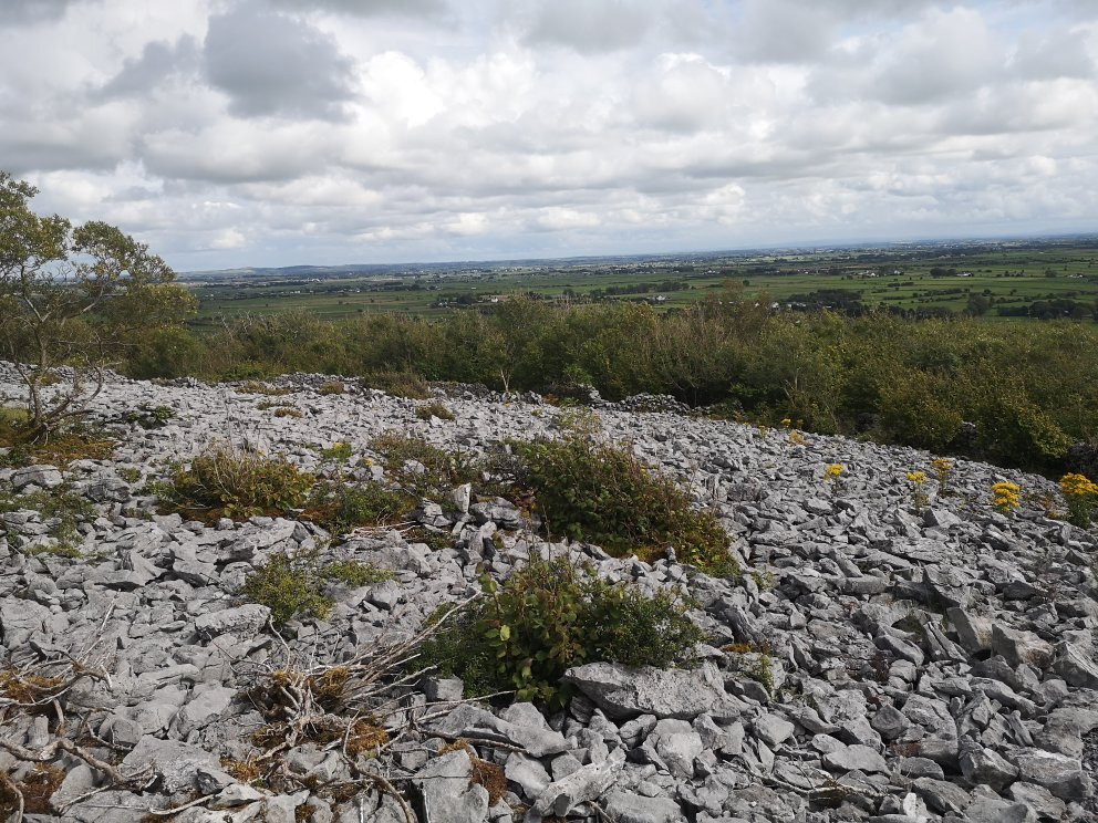 Knockma Forest Walk-Tuam必去景点