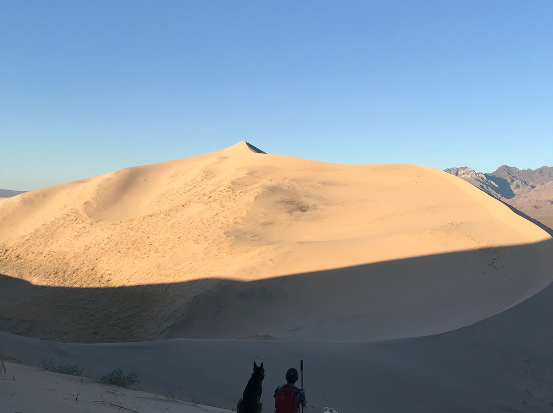 Kelso Dunes景点图片