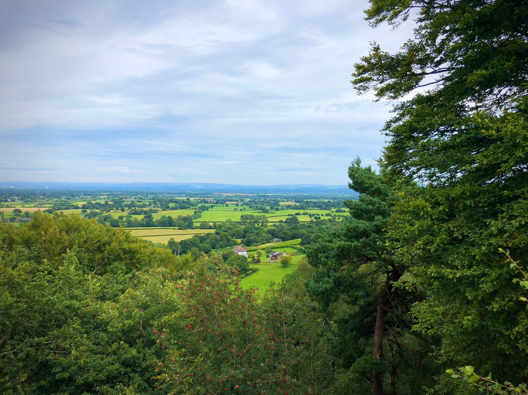 Alderley Edge Woodland Walk-阿尔德利埃奇必去景点