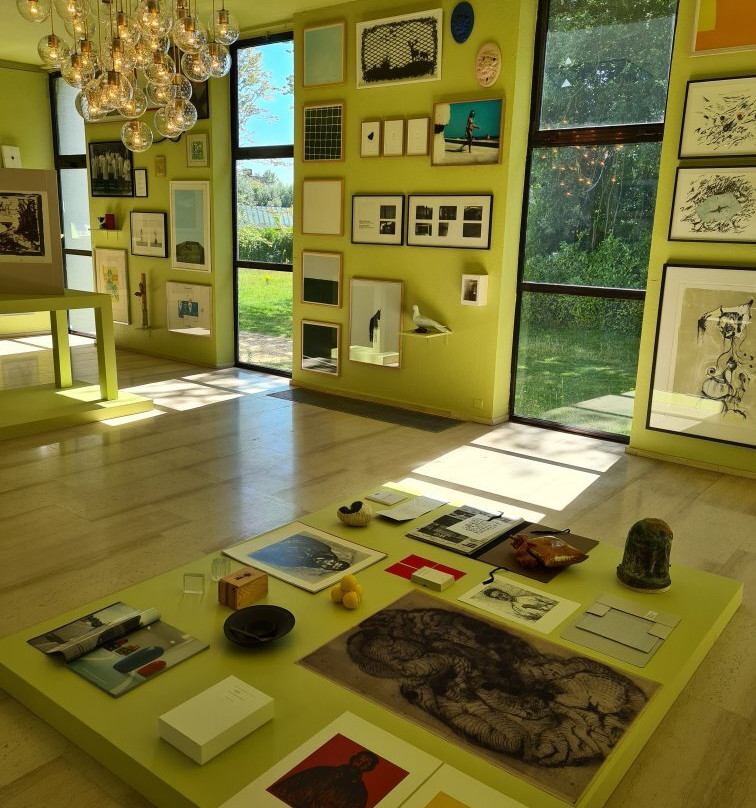 Museum Dhondt-Dhaenens景点图片