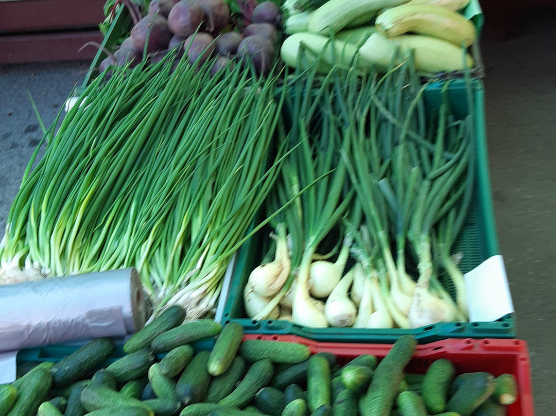 Central Market (Keskturg)-塔林必去景点