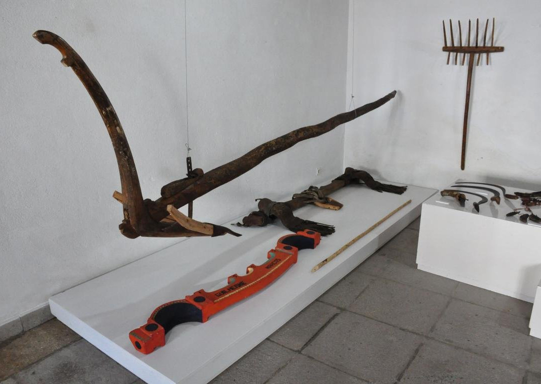 Museu da Terra de Miranda景点图片