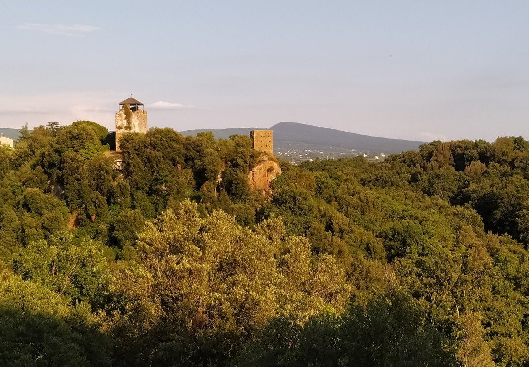 Necropoli Etrusca di Castel d'Asso-维泰博必去景点