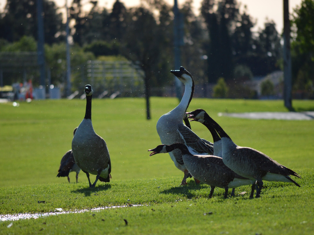 Don Knabe Community Regional Park-喜瑞都必去景点