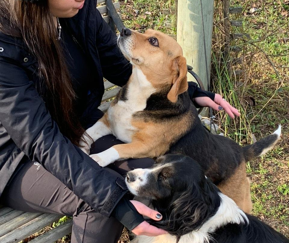 Pousada Pica-Pau主图