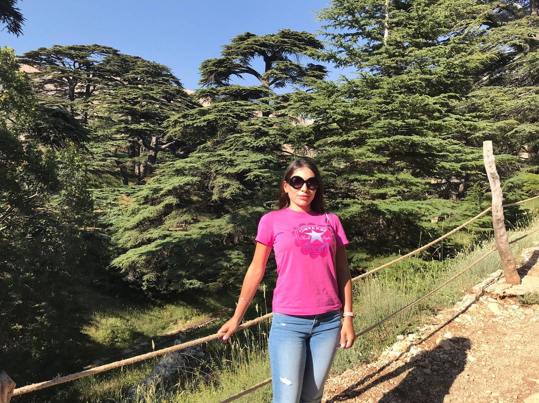 The Cedars of God-Bcharre必去景点