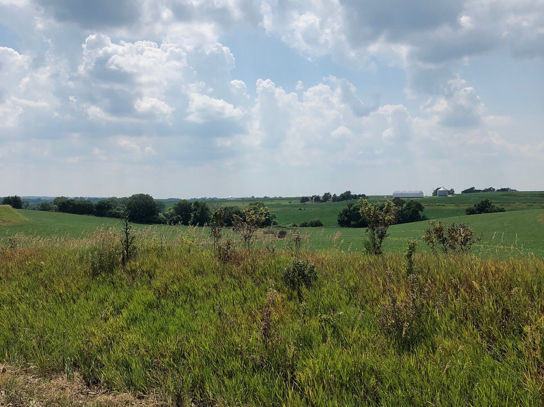 Loess Hills Lavender Farm-Missouri Valley必去景点