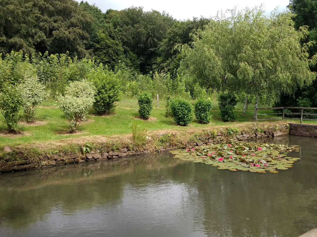 Jardin Alpestre de la Grotte Saint-Vit-Saverne必去景点
