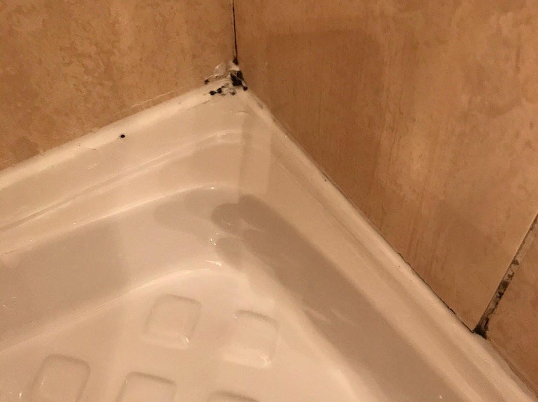 Hôtel Cousseau Parentis En Born主图