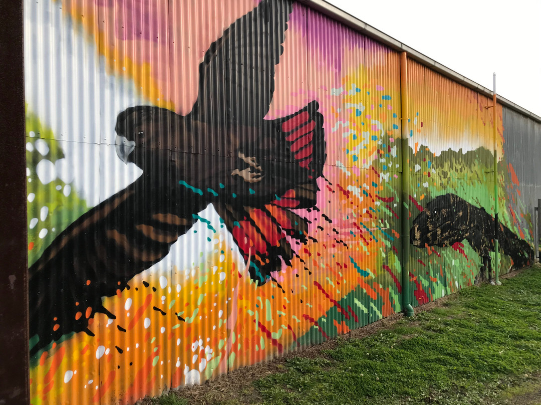 Heesco's Murals-Yarram必去景点