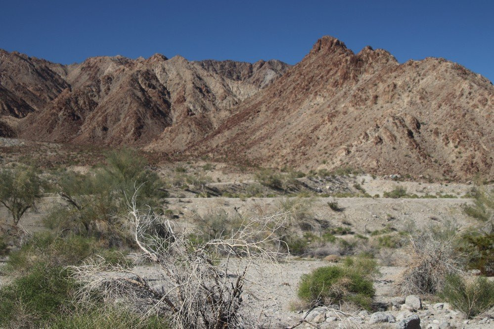 Fred Wolff Bear Creek Nature Preserve