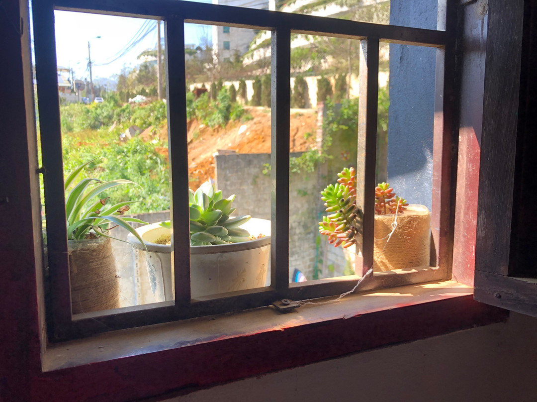 SAIGONESE TREKKING HOUSE景点图片