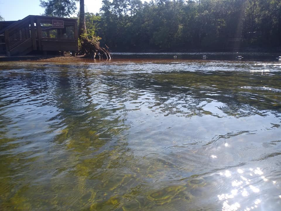 Lafayette Blue Springs State Park-Mayo必去景点