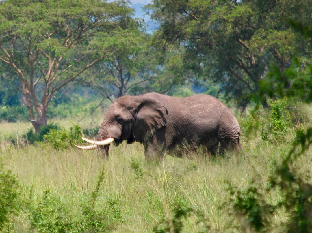 Golden Trekkers-Ruhengeri必去景点