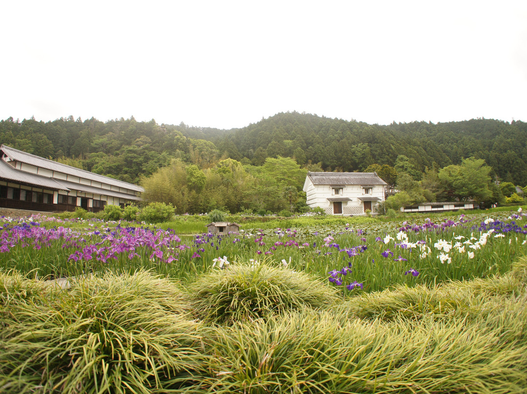 Kamoso Garden Park景点图片