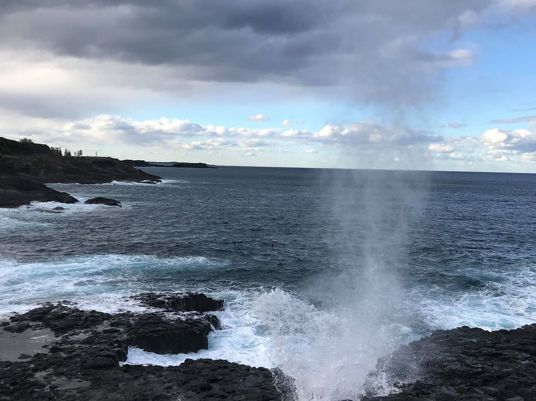 Little Blowhole Reserve “Endeavour Lookout”景点图片