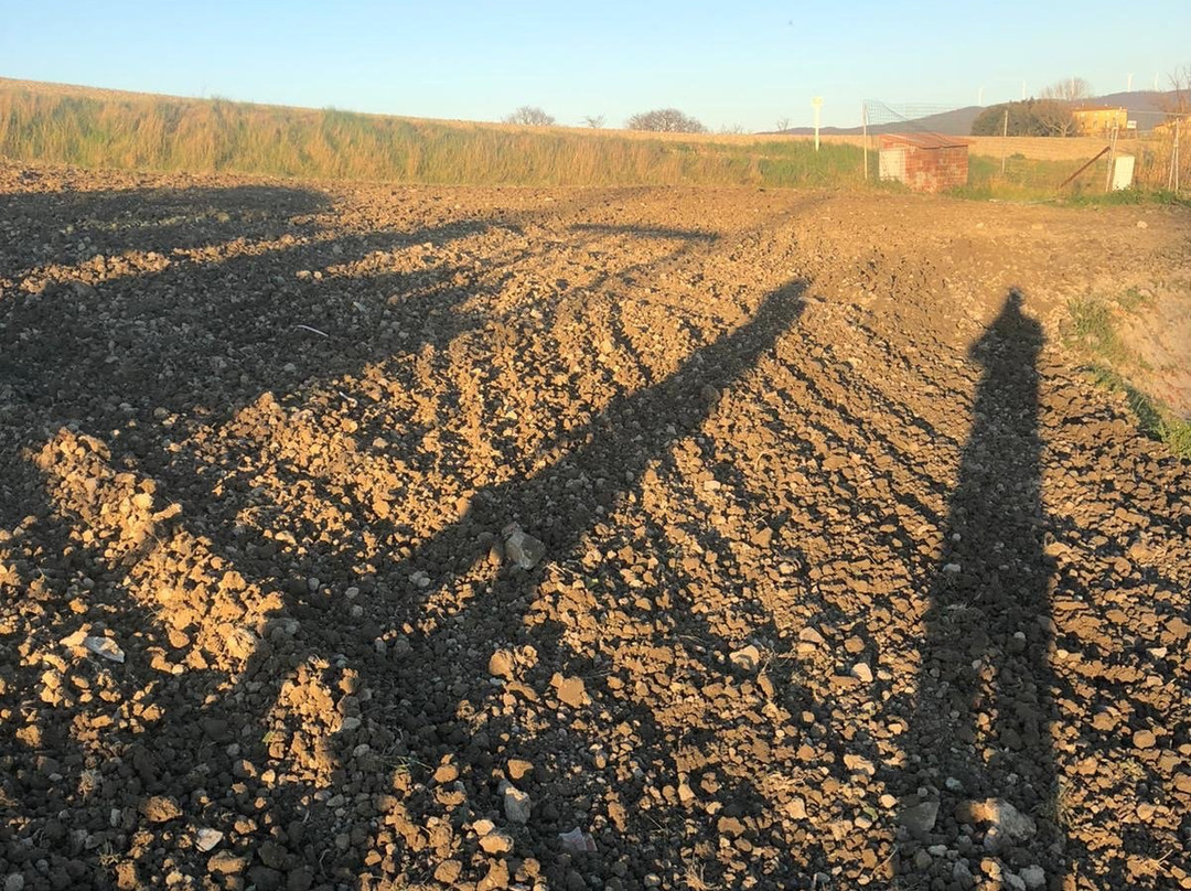 Azienda Agricola Bio Niccolini Paolo-Orciano Pisano必去景点