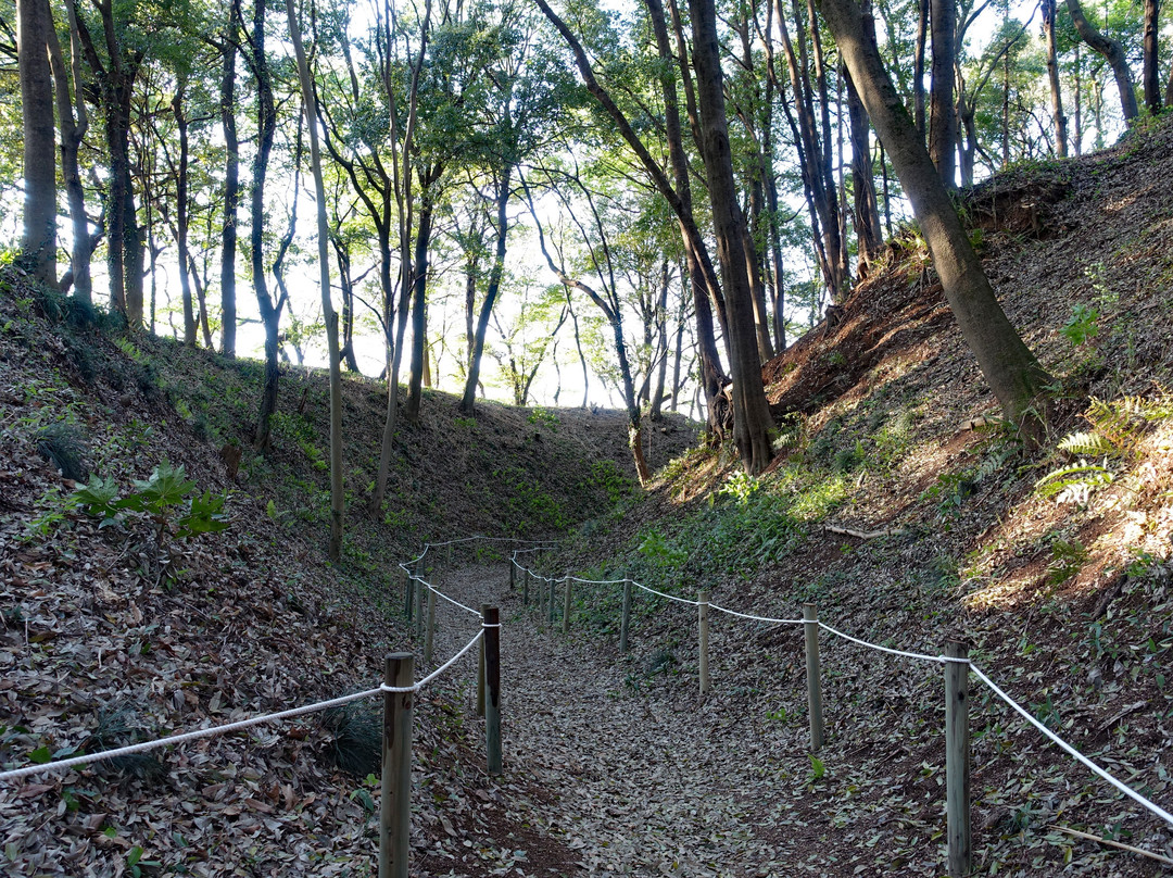 Moriyajoshi Park景点图片