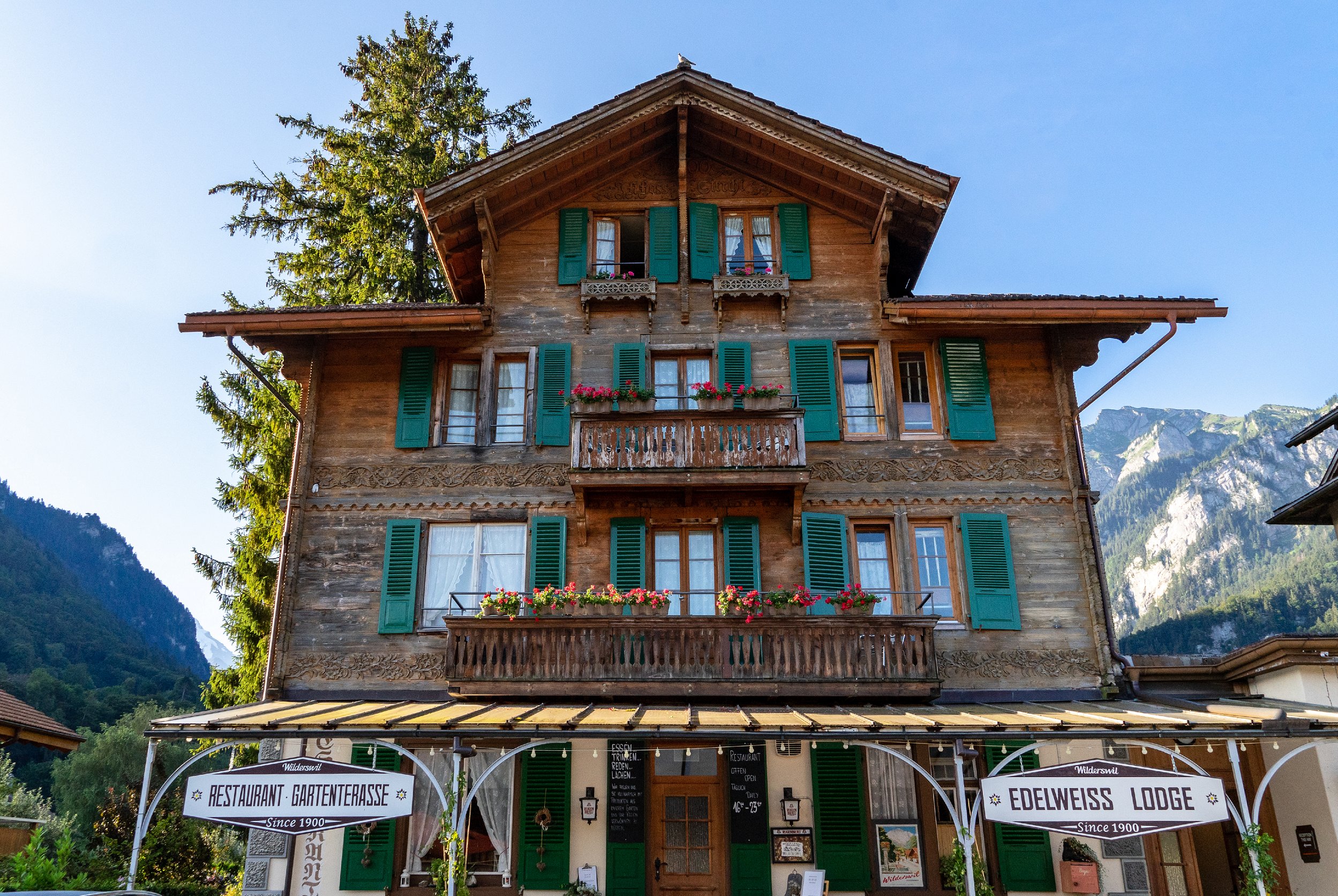 Edelweiss Lodge-官方