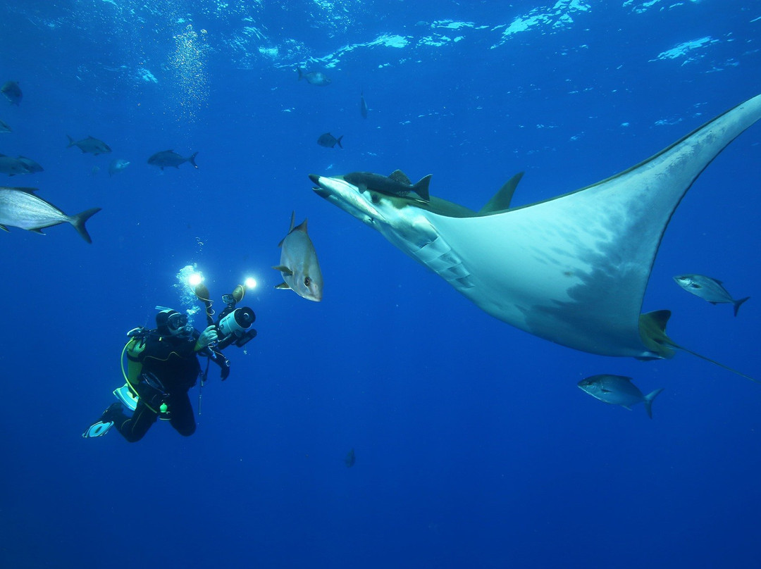 Season Challenge Azores Islands Diving Center