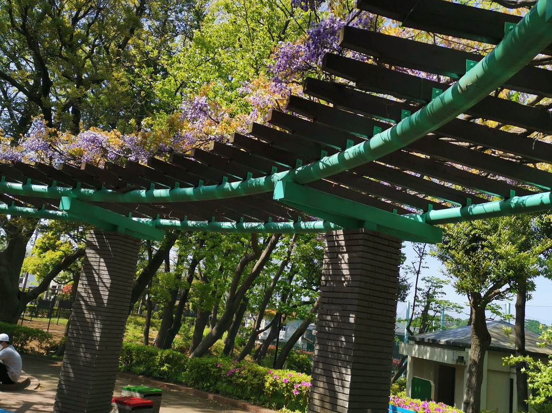 Tsukayama Park-杉并区必去景点