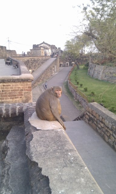 Jhansi Fort景点图片