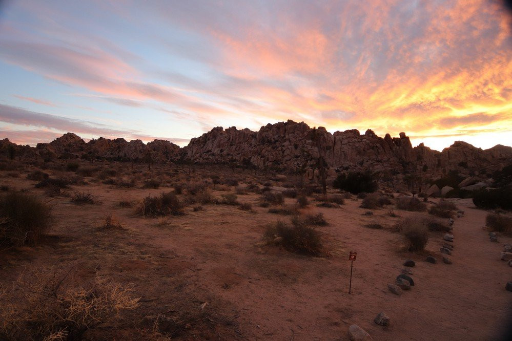 Banana Cracks Rock-约书亚树必去景点
