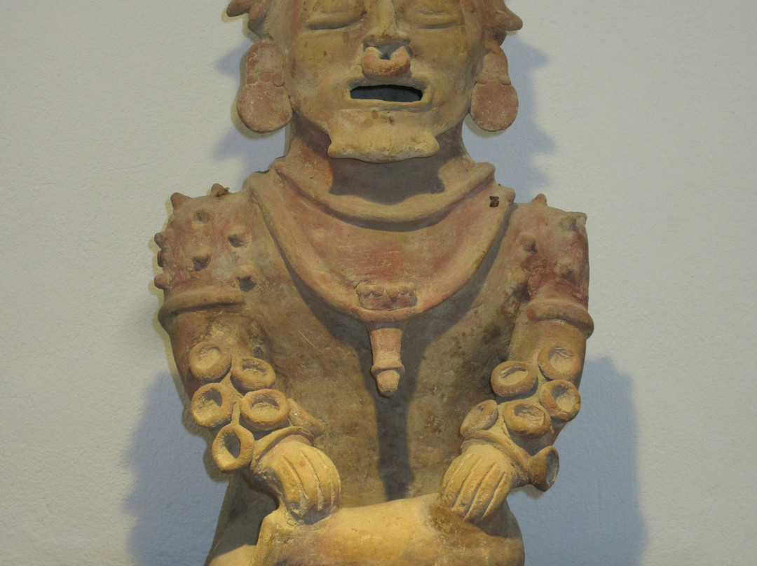 Casa Tayrona Los Naranjos主图