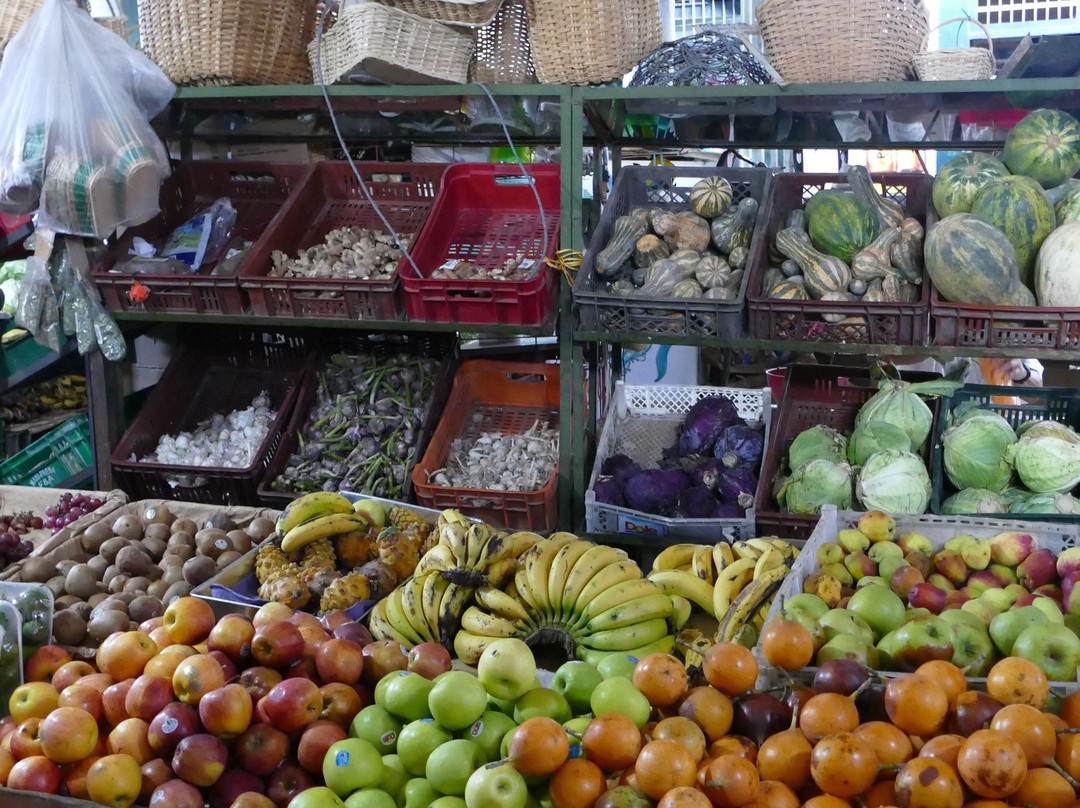 Plaza de Mercado-Honda必去景点