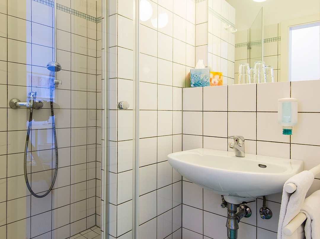 Nibelungen Hof主图