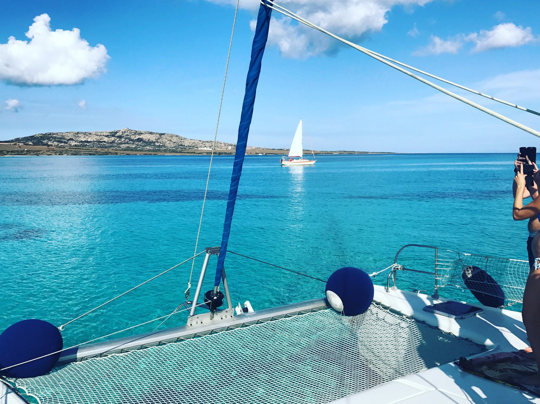 Asinara Catamaran Charter景点图片
