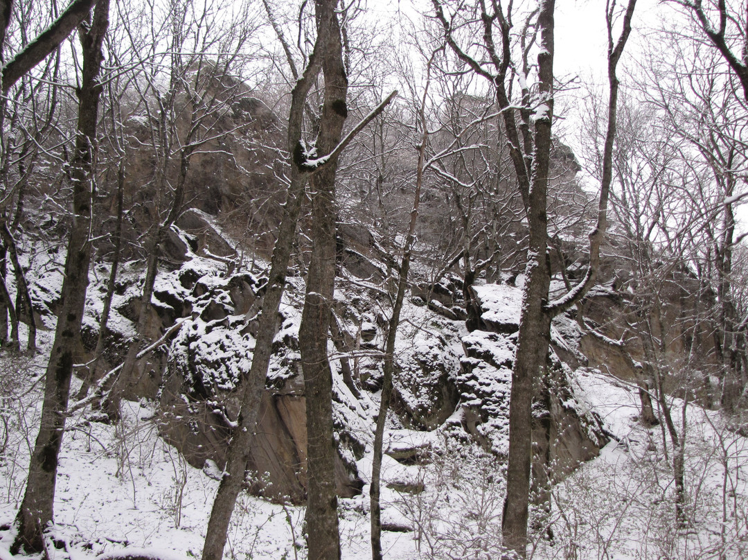 Cave of Primitive Man景点图片