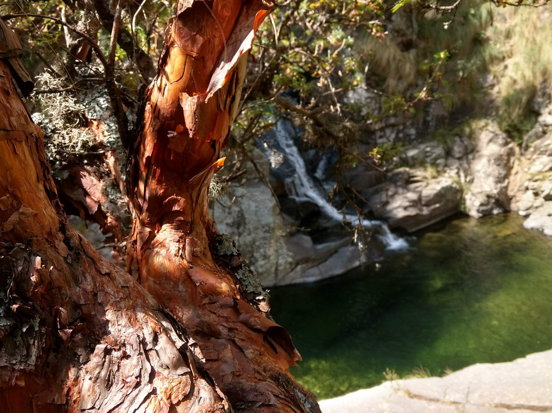 Cerro Blanco Aventura-梅洛必去景点