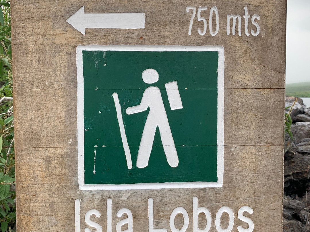 Isla Lobos-圣克里斯托瓦尔必去景点